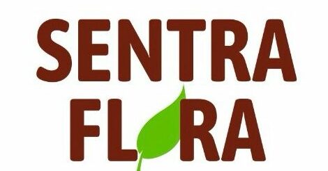 WhatsApp Image 2025-05-11 at 09.09.12